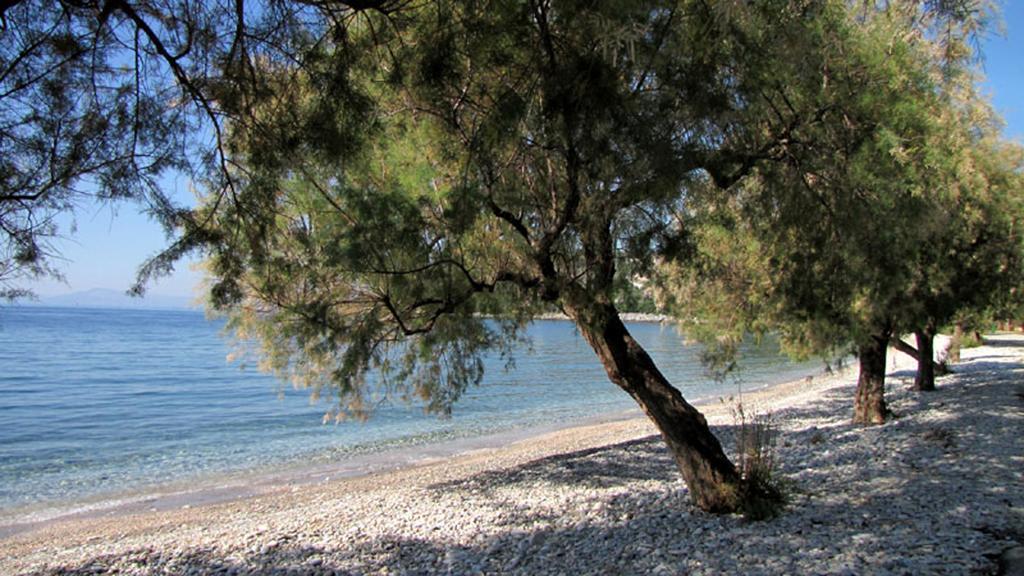 Iro Family Apartments Pelion Lefokastro Luaran gambar